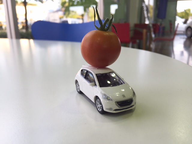 お客様より差し入れ頂きました！