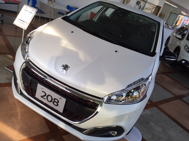 【ショールーム入れ替え】ホワイト一色です！