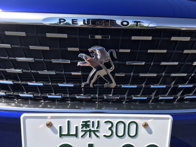 3008GT-Lineについて