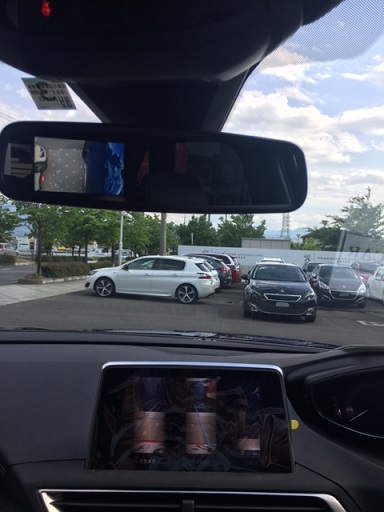 NEW3008のお褒め頂くところ