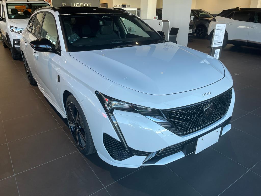 残り僅かの「308SW」