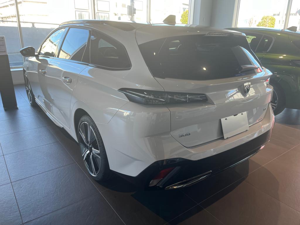 残り僅かの「308SW」